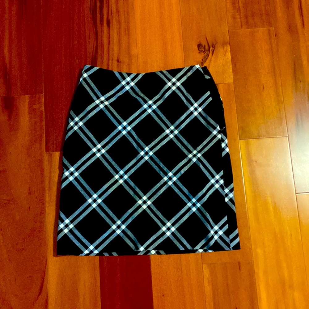 Ann Taylor skirt